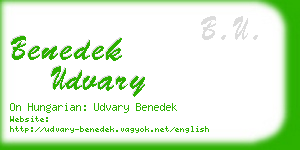 benedek udvary business card